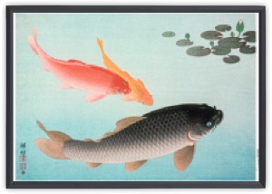 Common and Golden Carp (1935)