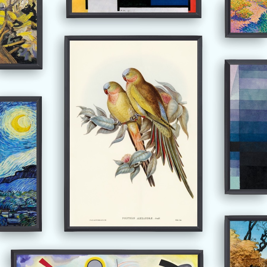 The Princess of Wales's Parakeet