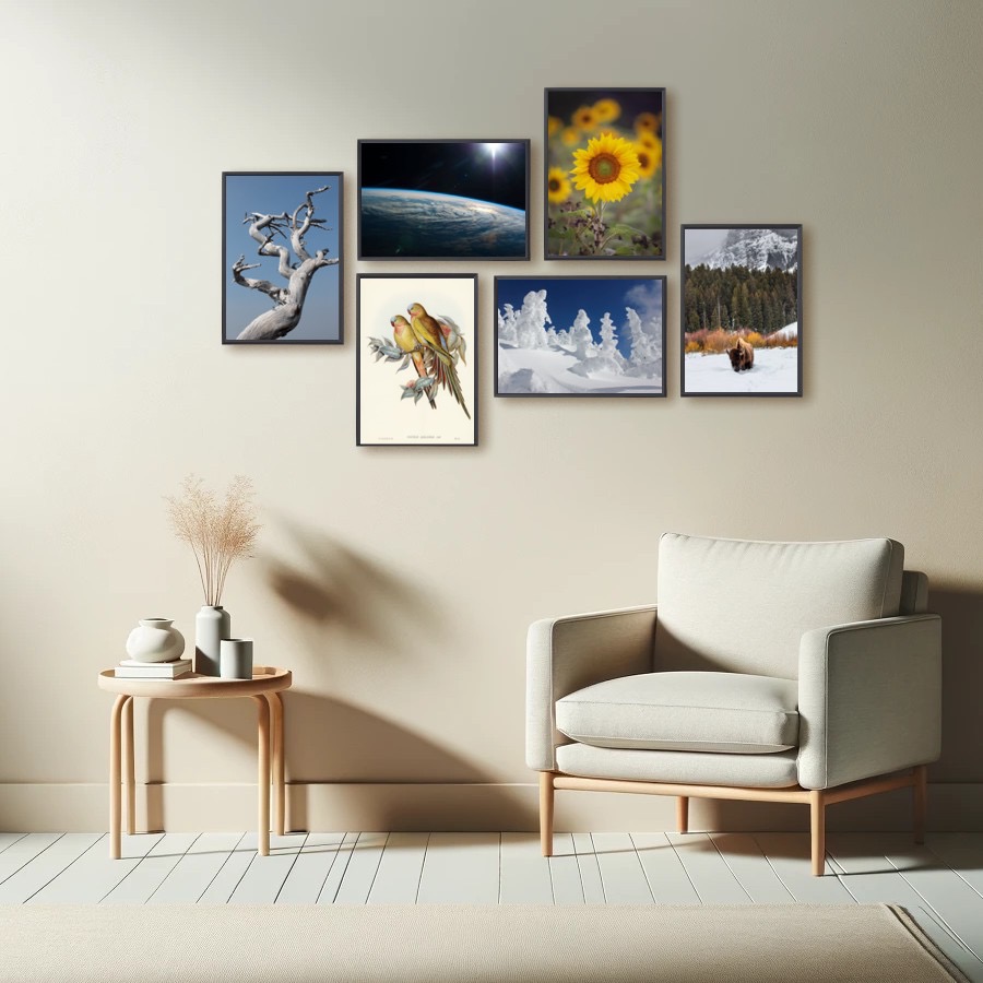 The Princess of Wales's Parakeet