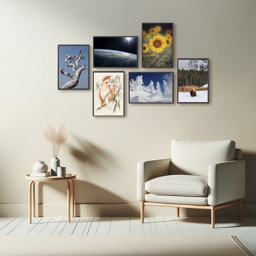 Leadbeater's Cockatoo