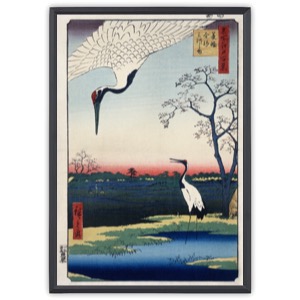 Japanese cranes